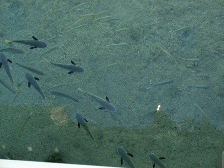 Aus 5 Metern H&ouml;he aufgenommen